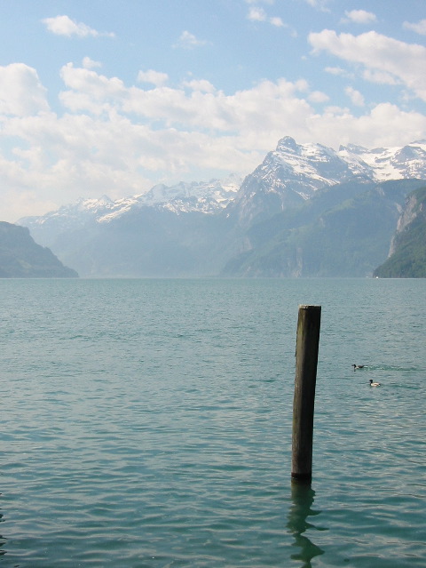 Brunnen, Vierwaldstätter See