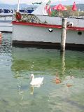 Luzern, Seepromenade